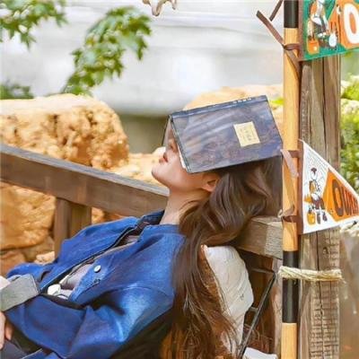 宝可梦:超梦的逆袭进化 封面