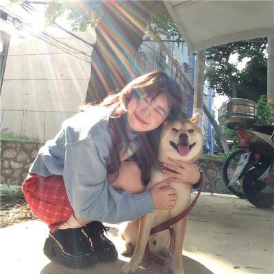 我家娘子惹不起 封面