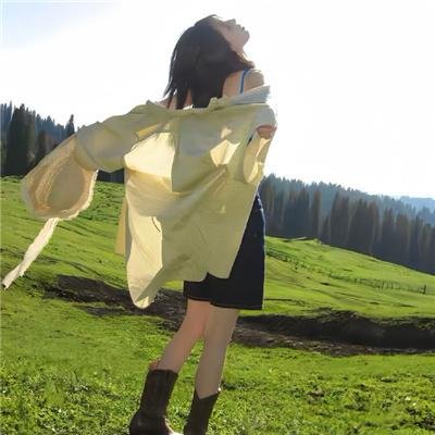 宫女(2007年电影) 封面